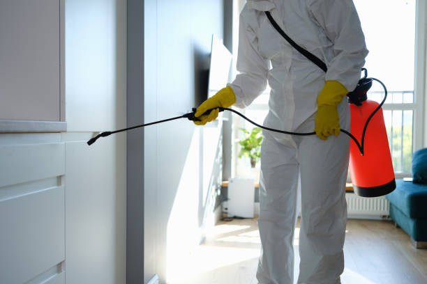 Best Professional Mold Removal  in Asotin, WA