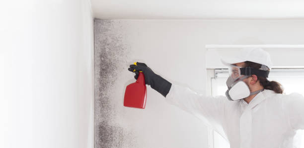Best Fast Mold Removal  in Asotin, WA
