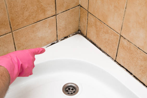Best Mold Cleaning Services  in Asotin, WA
